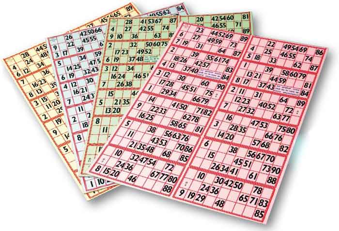 Carton loto Feuille de 12 grilles LotoBingo A3 GM - Bingoloto