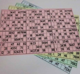 feuilles-de-loto-bingo-bristol-a3