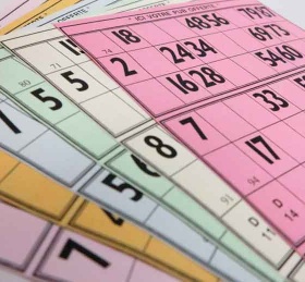 feuilles-de-loto-bingo-bristol-gm