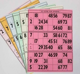 feuilles-de-loto-bingo-bristol-grand-modele