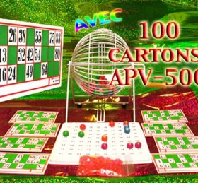  Carnet de suivi loto bingo : loto de campagne : bingo : carnet  de bord cartons de loto : loterie: Idée de cadeau : cahier loto : bingo :  jeu de