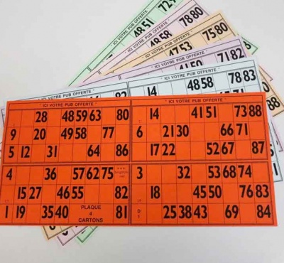 feuilles-de-loto-bingo-bristol-grand-modele-b3